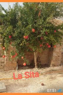 La sita - Neviano - 2