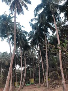 Seadeck Sandy Retreat, Jaigad - Jaigarh - 1