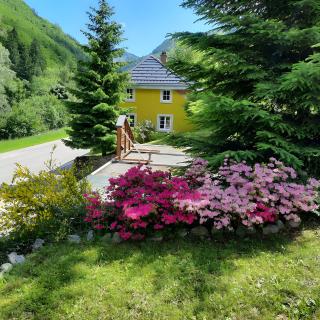 Haus Maria - Todtnau - 7