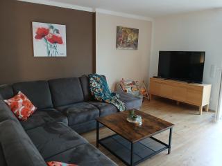 Fewo Gartenblick Altlußheim - Netflix- parken - Küche - Klimaanlage - Shuttle zum Hockenheimring - 1