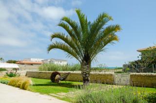 Sabbia Dorata - Punta Braccetto - 3
