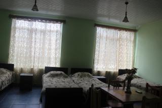 Hotel Lideri - Vani - 5