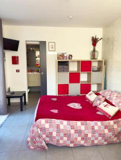 Studio au calme tout confort proche des plages - Jardin WIFI Parking - Fréjus - 1