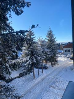 Alpha apartman Kopaonik - Kopaonik - 3
