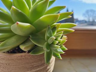 Ferienwohnung am Auenweg - 6