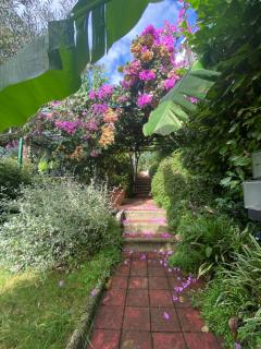 Sunny Garden - Opatija - 5