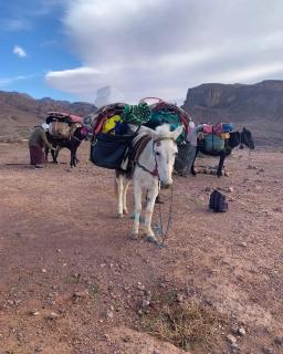 Dades mountain camp - Aït Oudinar - 7