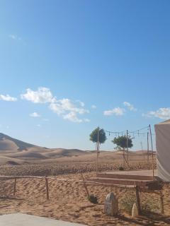 Sahara Vega Camp - Hassilabied - 4