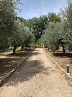 La stalla di nonno Zopito casa vacanze - Loreto Aprutino - 5