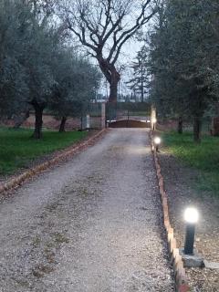 La stalla di nonno Zopito casa vacanze - Loreto Aprutino - 6