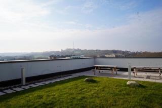 Modern 1-Bedroom New Build near Alexandra Palace - 3