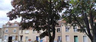 Chambres indépendantes et lumineuses - Alençon - 1
