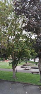 Chambres indépendantes et lumineuses - 3