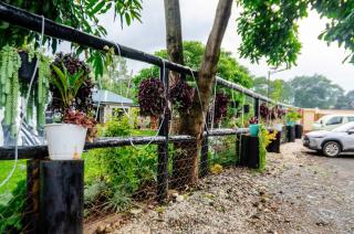 Grevillea Farm house - 9