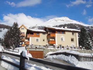 Aivla-Trachsel - Celerina - 6