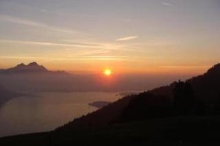 Rigi-Naturferien auf dem Bio-Bauernhof Oberebnet - Vitznau - 4