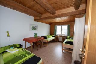 Manser, Ferien beim Bauer 2Stock - Oberhegi - 6
