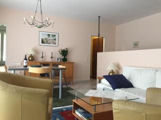 Casa alle Vigne Apt 101 - Ascona - 0