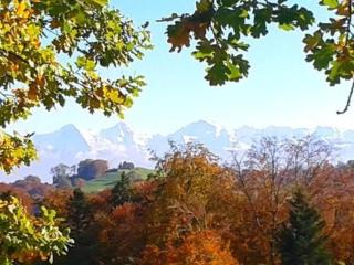 Gurtendörfli - Bern - 2