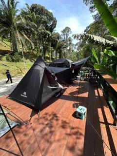 The HIJAU Camp & Cabin - Gopeng - 2