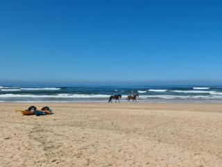 Southern Cross Beach House - Great Brak River - 1