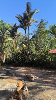 Casa veranera - Sarapiquí - 2