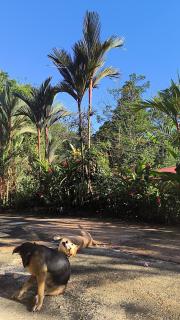 Casa veranera - Sarapiquí - 1