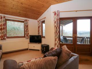 The Ash Lodge - Lyme Regis - 6