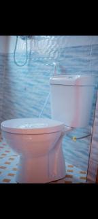 Antelope homestay - - 2