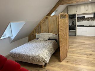 Appartement vintage - Terrasse - Fauteuils de cinéma - Verton - 6