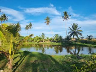 Beachhouse Costa de Aratuba - 8