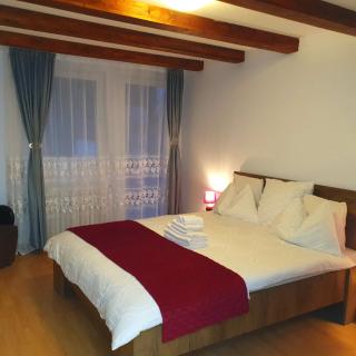 Moonlight-House Dark Side Apartment - Sinaia - 7