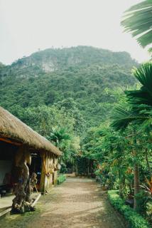 Viet Hai Lan Homestay - Cat Ba - 7