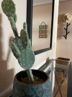 Vive Rie Ama Tenerife - 2 bedroom apartment - San Miguel de Abona - 1