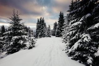Zum Struffelt - Roetgen - 3