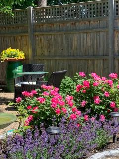Foreside Farmhouse - Falmouth - 5