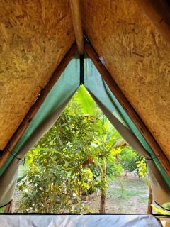 Nosso Quintal Candeias - Cabana Banana - Conceição do Mato Dentro - 7