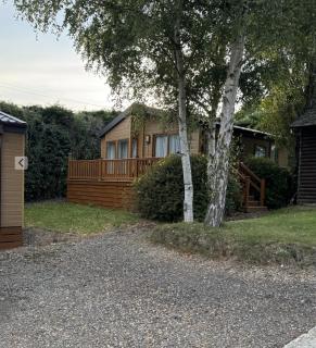 Yellow Bush Lodge - 2