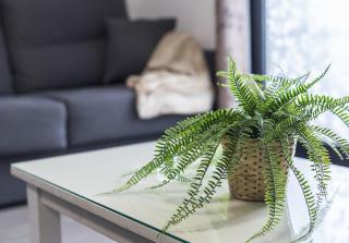 Apartamento La Ermita -Vive el Encanto de Jerez - Jerez de la Frontera - 1