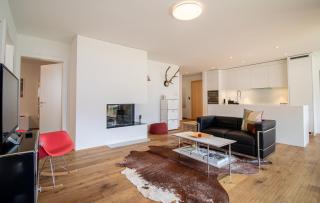 PlantA rosa by Arosa Holiday - 1