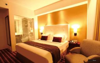 HOTEL HOLITEL PEKANBARU superior double - Pekanbaru - 3