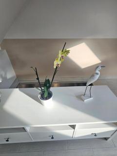 Salix Guesthouse by Mital - Szeged - 8