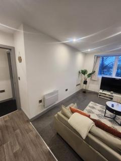 One Bedroom Flat - Wolverhampton - 1