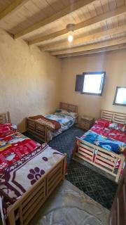 Karam Siwa Camp - Siwa - 5