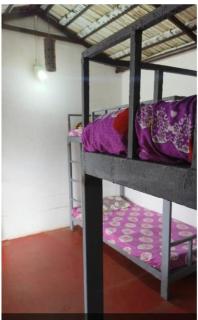 Adam's Heaven - Alappuzha - 4