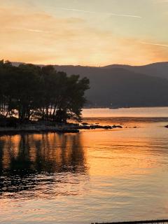 Villa Pinus - Stari Grad - 4