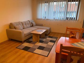 CEDAR LODGE NEXT TO LIFT ONE BEDROOM APARTMENT - Bansko - 8