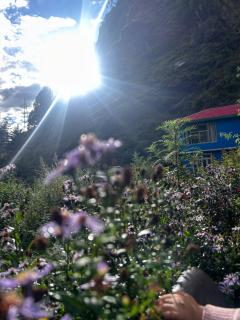 Formosa cafe & hostel - 4