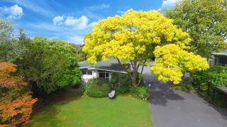 Ashleigh Court Motel-Christchurch Hagley Park - 4