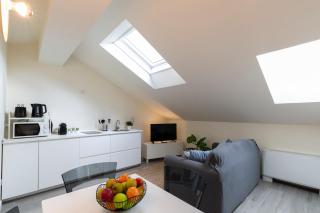 Bright Attic M4 - 2 Bedrooms - Milan - 6